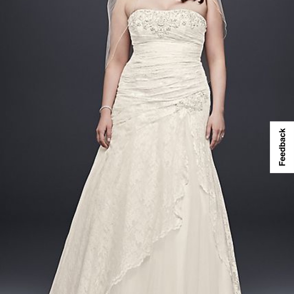 Wedding dress and veil